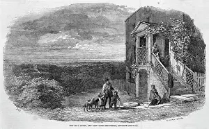 Over Looking Prints: Hainault Forest