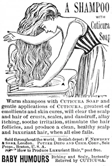 Images Dated 3rd November 2011: Hair washing with Cuticura soap, 1890s
