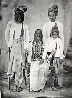 Hairy Prints: The hairy family of Burma