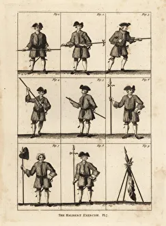 Account Gallery: Halberd military exercises