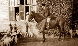 Meet Collection: Haldon Harriers, Cockington