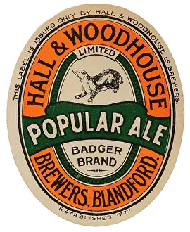 Hall & Woodhouse Popular Ale