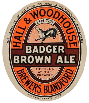 Hall & Woohouse Badger Brown Ale