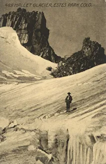 Glacier Gallery: Hallet Glacier, Estes Park, Colorado, USA