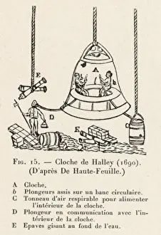 HALLEYs BELL - 3