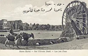 Hama, Syria - The Giant waterwheels on the Orontes River