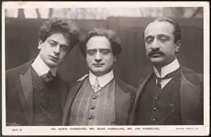 Three Hambourgs / 1909