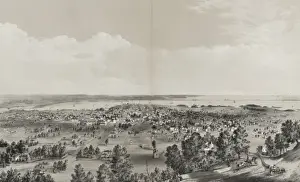 Hamilton, C. W