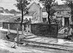 Hampstead Heath