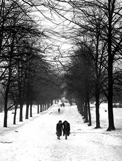 Huge Collection: Hampstead Heath 1939