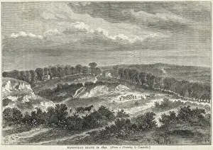 Hampstead Heath
