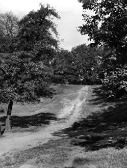 Hampstead Heath