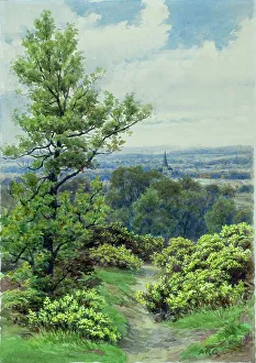 Hampstead Heath, London