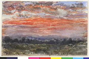 Images Dated 14th February 2011: Hampstead Heath, Sunset Study