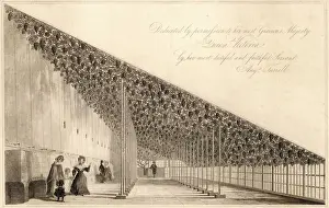 1840 Prints: Hampton Court / Great Vine