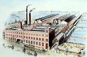 Cooperative Prints: Hand coloured illustration of CWS Crumpsall Biscuit