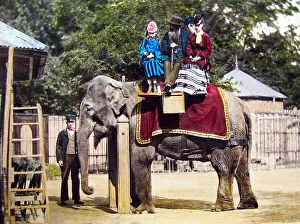 Hand coloured photo, elephant ride at the zoo