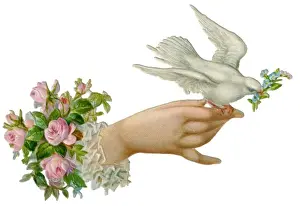 Hand and Dove
