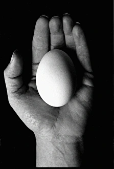 Images Dated 6th October 2015: Hand holding an egg