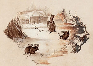 Images Dated 14th July 2021: Hand painted illustration of birds and mice