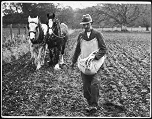 S Eed Prints: Hand Sowing in Ireland