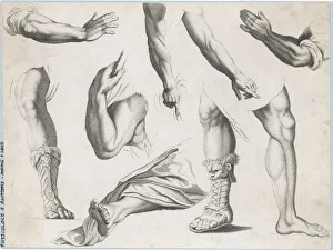 Pres Gallery: Hands & Feet / Albion Pres