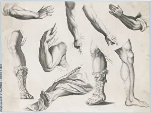 Pres Gallery: HANDS & FEET / ALBION PRES HANDS & FEET / ALBION PRES
