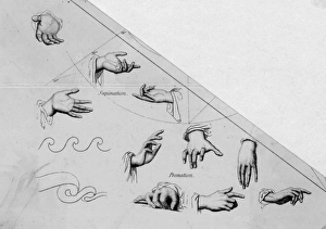 Images Dated 20th September 2017: Hands / Various / Anon