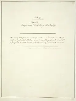 Chrysalis Prints: Handwritten notes by John Abbot