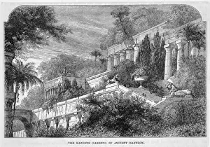 Hanging Gardens / Babylon