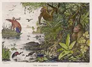 Cameroon Prints: Hanno / Exploration