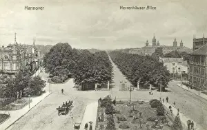 Allee Prints: Hanover, Germany - Herrenhauser Allee