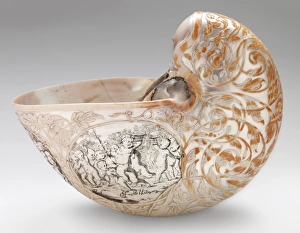 Images Dated 25th July 2012: Hans Sloanes nautilus shell