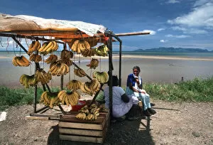 Images Dated 5th September 2019: Happy banana sellers on a fruit stall on Viti Levu, Fiji