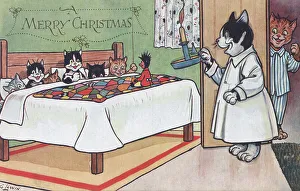 Happy Cats and Kittens