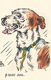 A Happy Dog