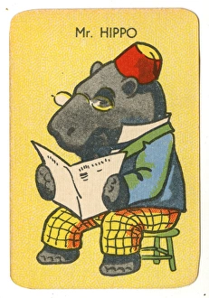 Images Dated 21st April 2016: Happy Families Animals - Mr Hippo