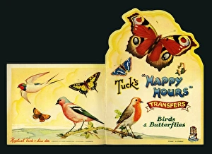 Albums Gallery: Happy Hours Transfers. No 1