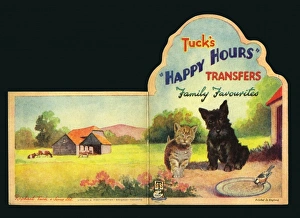 Albums Gallery: Happy Hours Transfers. No 7