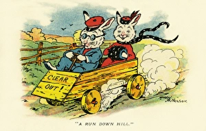 Happy rabbits
