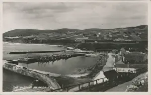 The Harbour