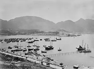 Harbour
