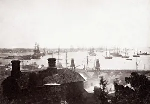 Images Dated 2021 May: 12 May 2021 Collection