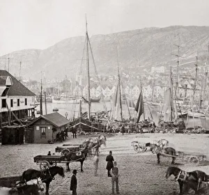 Bergen Prints: Harbour scene, horses and carts, Bergen Norway. c. 1890