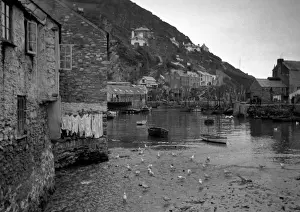 Gulls Prints: Harbour scene with seagulls and washing line