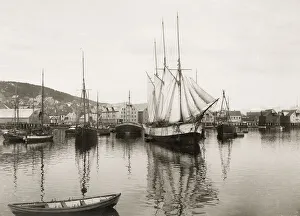Rowboat Prints: Harbour at Tromso, Norway