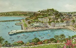 The Harbour and Waldon Hill, Torquay, Devon