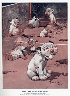 Digging Collection: Hard lines on the hard court by George Studdy