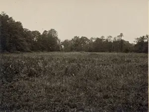 Hardingham Airship Station, 14 August 1918