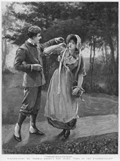 Hardy / Tess D urbervilles